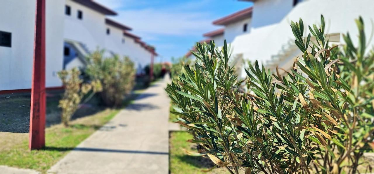 Fkk Ada Bojana Hotell Ulcinj Eksteriør bilde